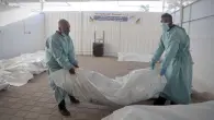 جثث شهداء